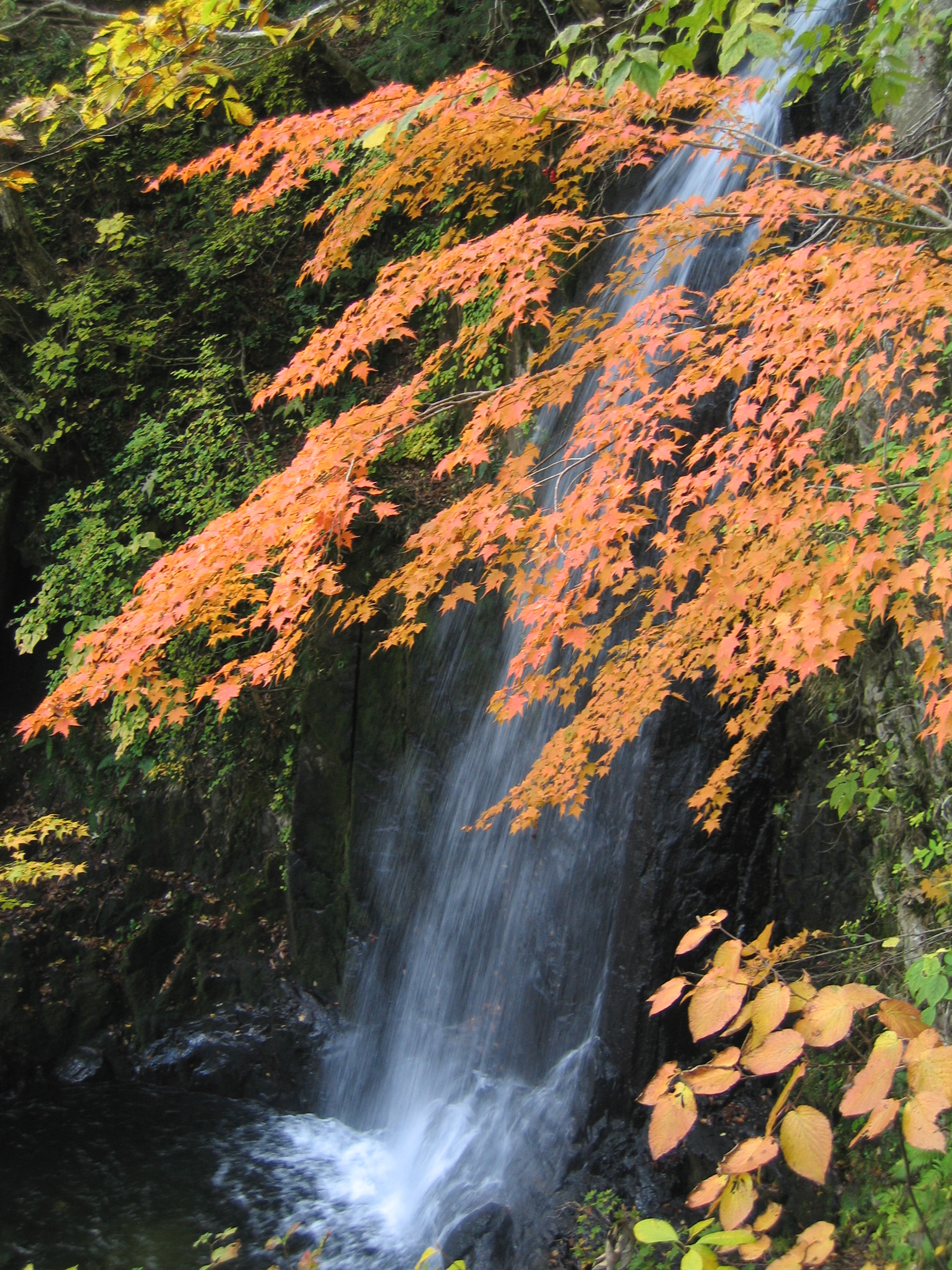 Utsue Forty-Eight Waterfalls