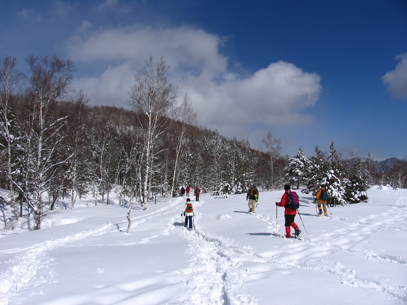 Snowshoe Experience